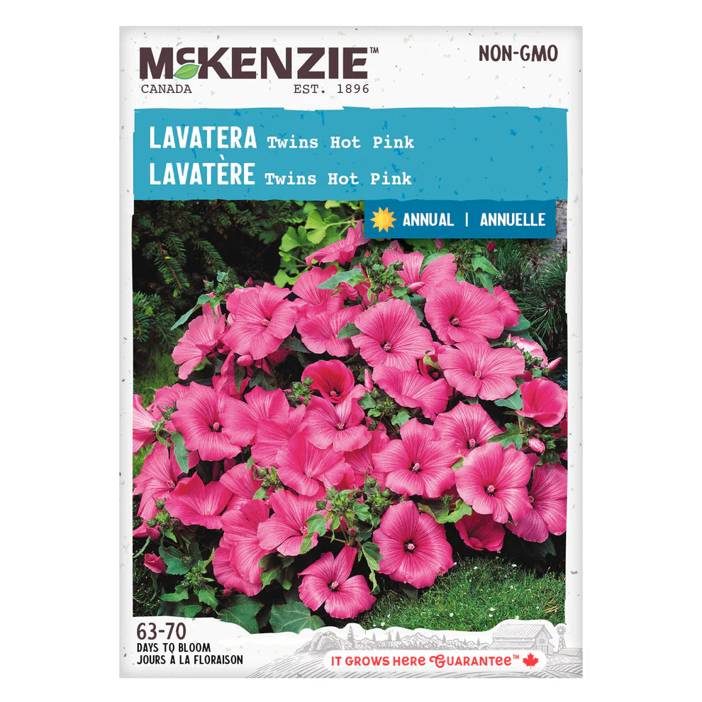 Lavatera Twins Hot Pink - McKenzie Seeds