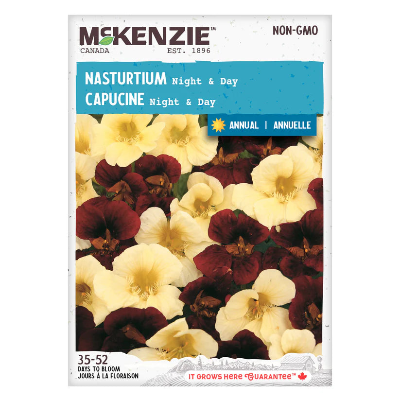 Nasturtium Night & Day - McKenzie Seeds