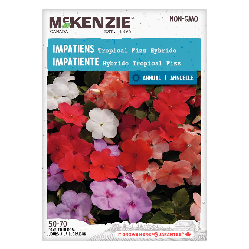 McKenzie Seeds  Impatiens Tropical Fizz Hybrid