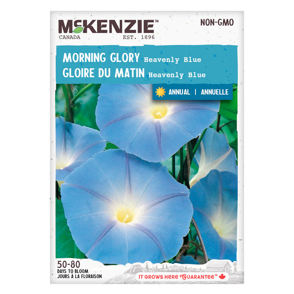 Morning Glory Heavenly Blue - McKenzie Seeds
