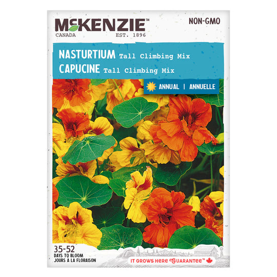 Nasturtium Tall Climbing Mix - McKenzie Seeds