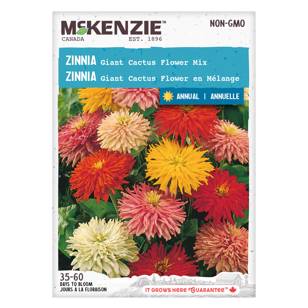 Zinnia Giant Cactus Flowered Mix - McKenzie Seeds