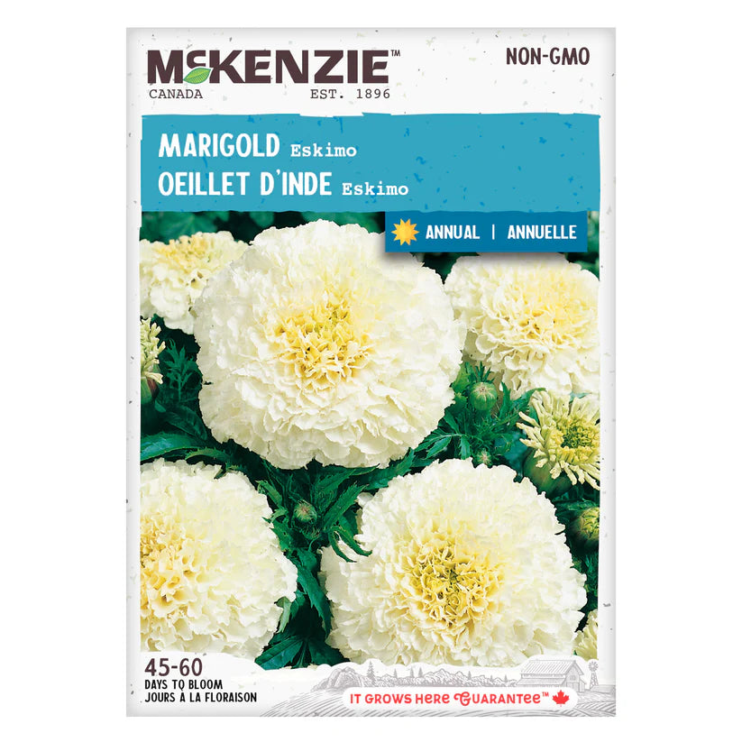 Marigold Eskimo - McKenzie Seeds