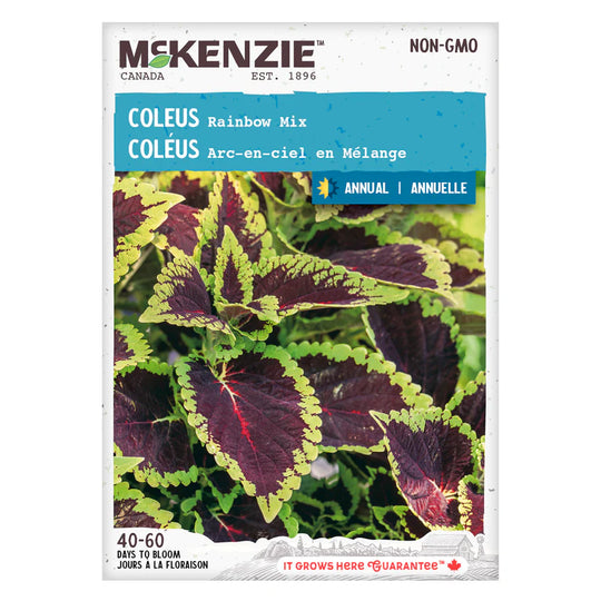 Coleus Rainbow Mix - McKenzie Seeds