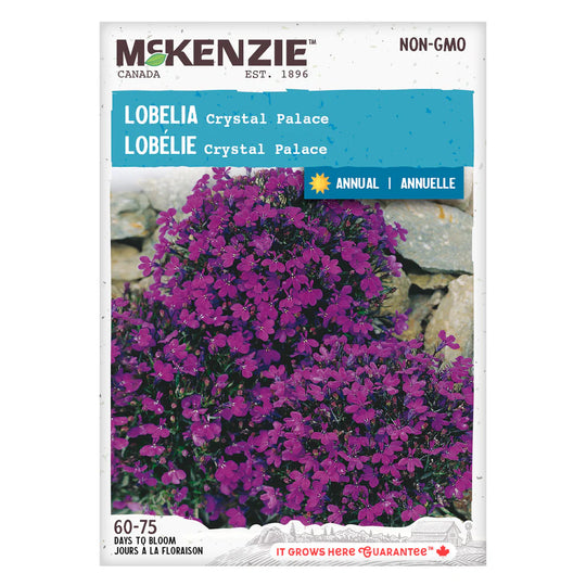 Lobelia Crystal Palace - McKenzie Seeds