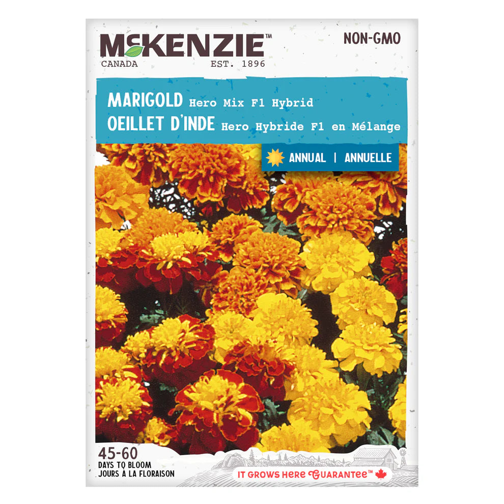 Marigold Hero Mix F1 Hybrid - McKenzie Seeds