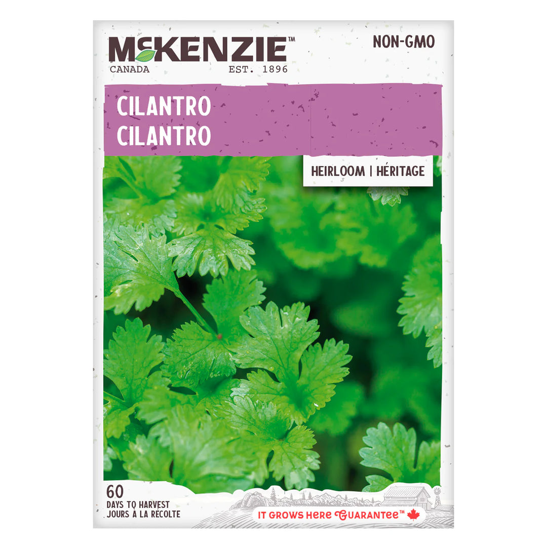 Cilantro Coriander - McKenzie Seeds