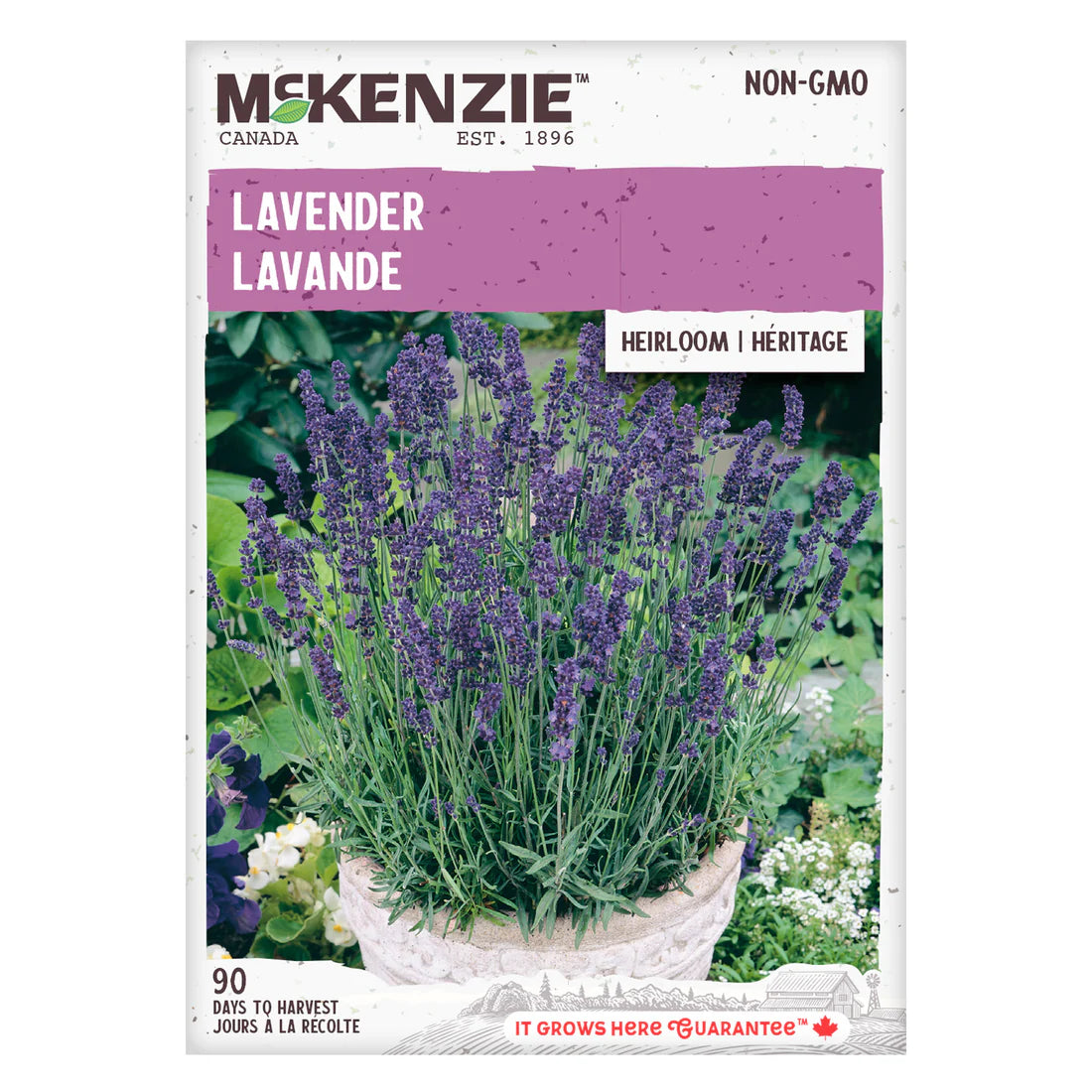 Lavender - McKenzie Seeds