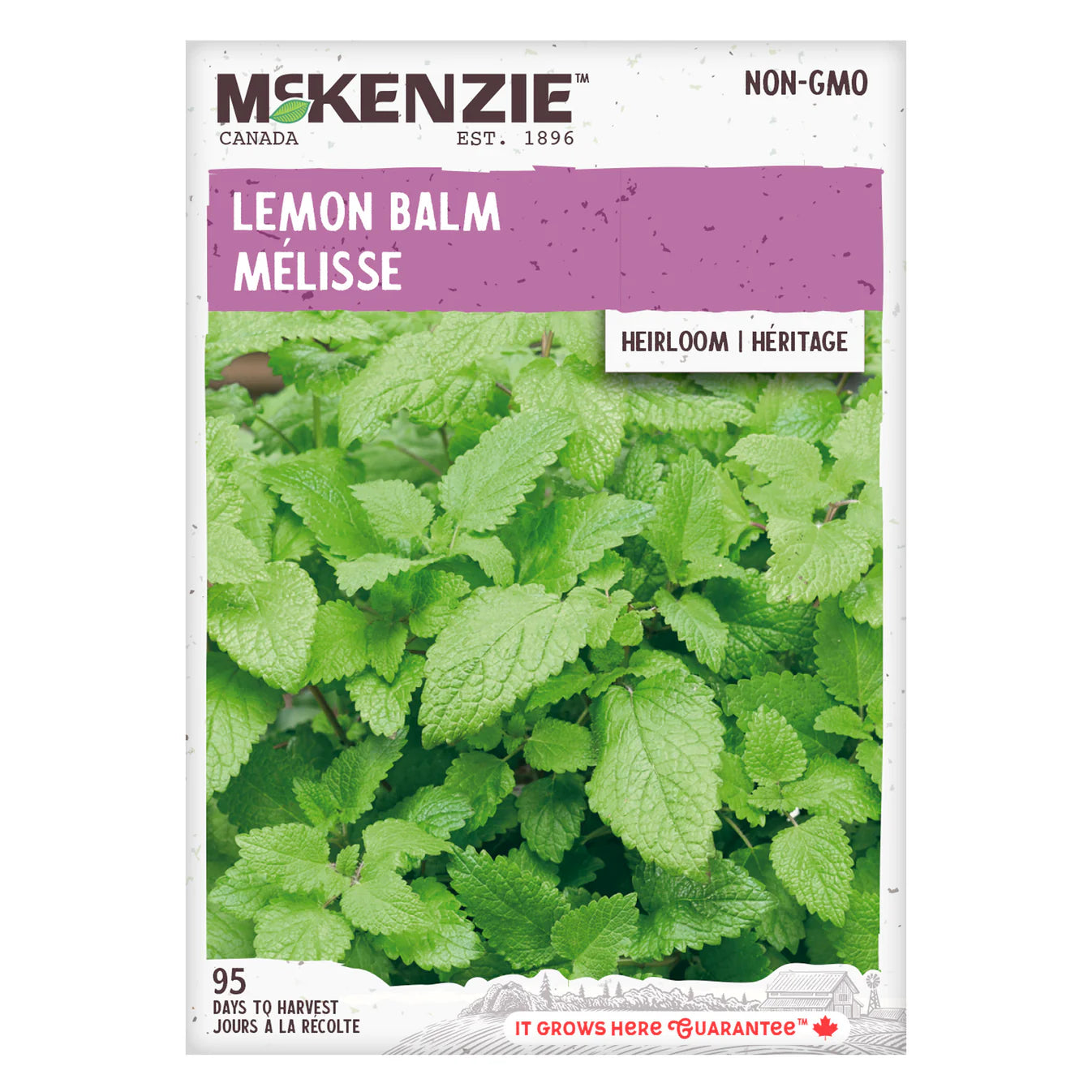 Lemon Balm - McKenzie Seeds