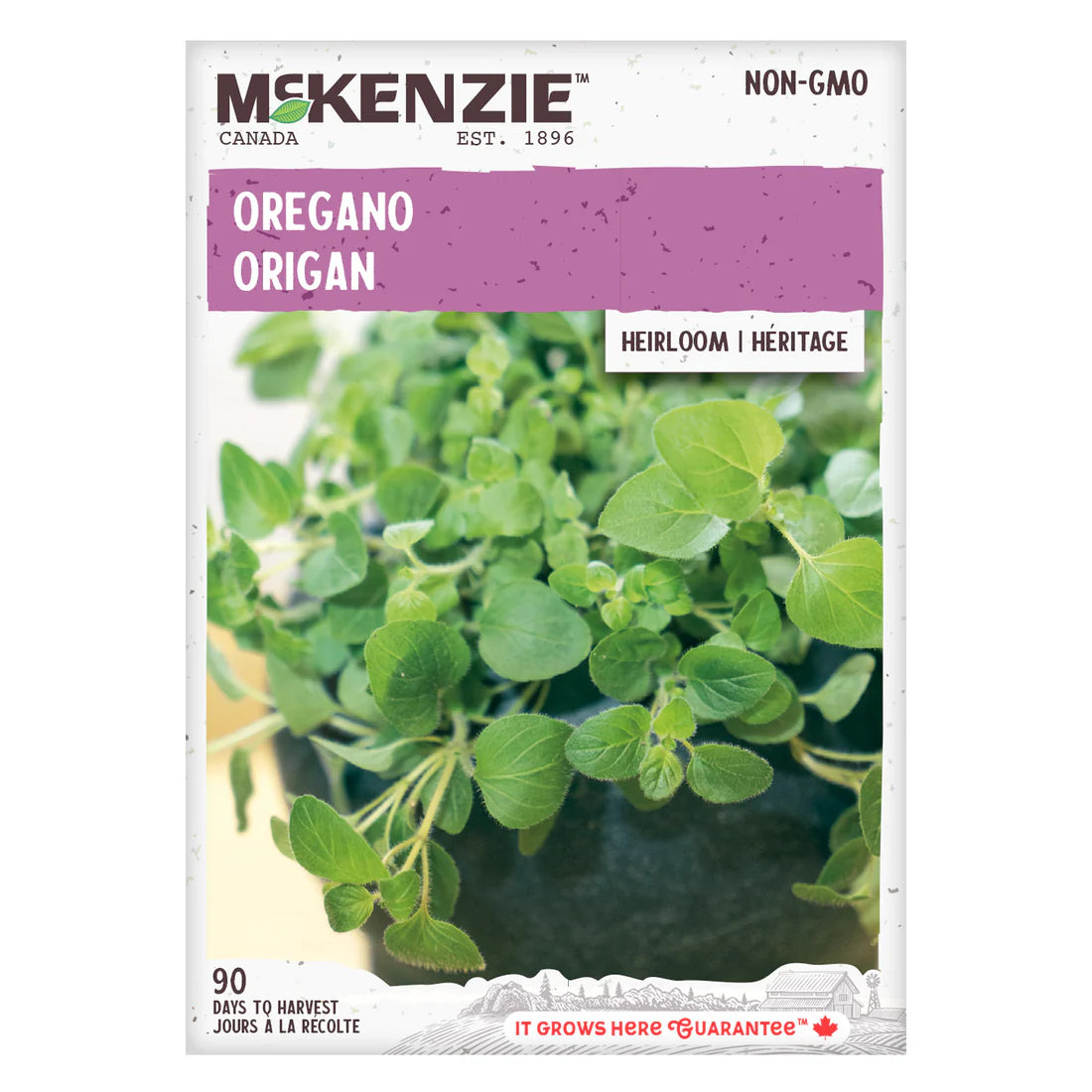 Oregano - McKenzie Seeds