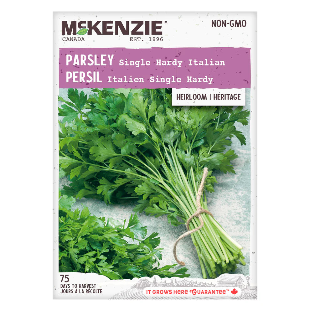 Parsley Single Hardy Italian - McKenzie Seeds