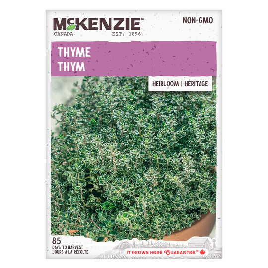 Thyme - McKenzie Seeds