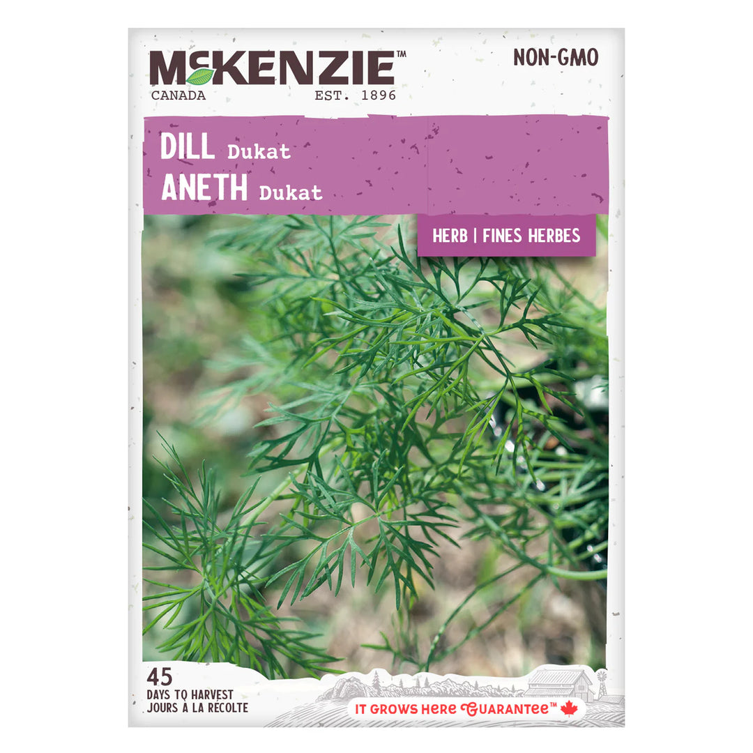 Dill Dukat - McKenzie Seeds