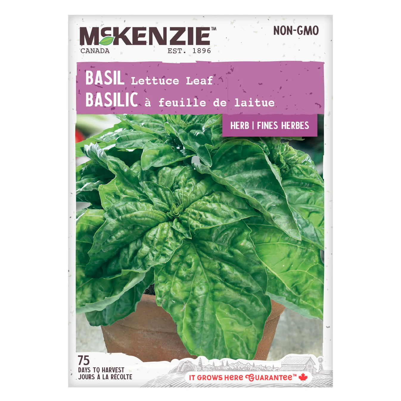 Basil Lettuce Leaf - McKenzie Seeds