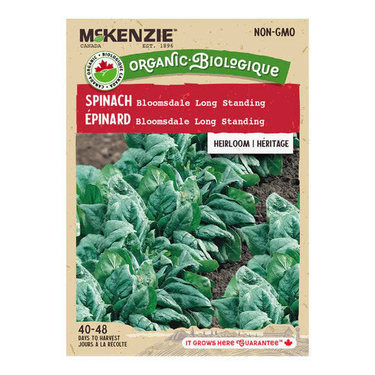 Organic Spinach Bloomsdale Long Standing - McKenzie Seeds