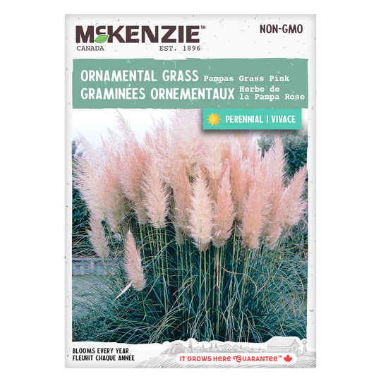 Pampas Grass Pink - McKenzie Seeds