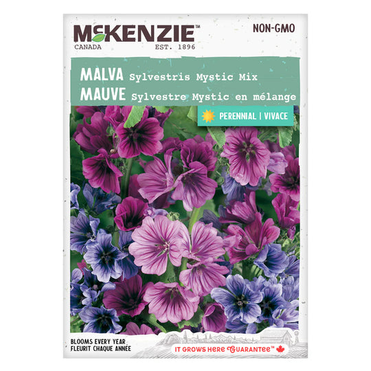 Malva Sylvestris Mystic Mixture - McKenzie Seeds