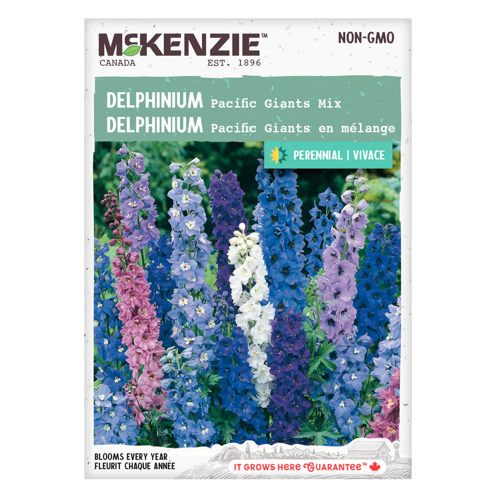 Delphinium Pacific Giant - McKenzie Seeds