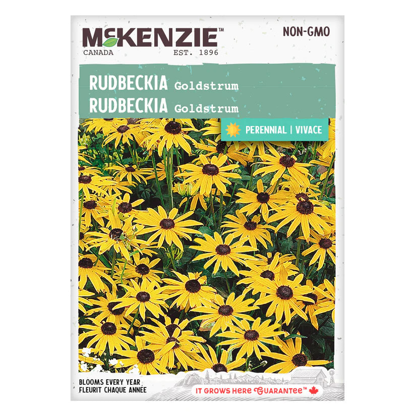 Rudbeckia Goldstrum - McKenzie Seeds