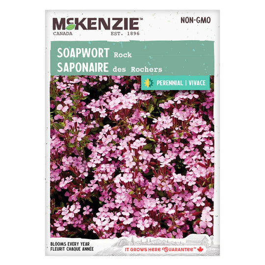 Soapwort Rock - McKenzie Seeds