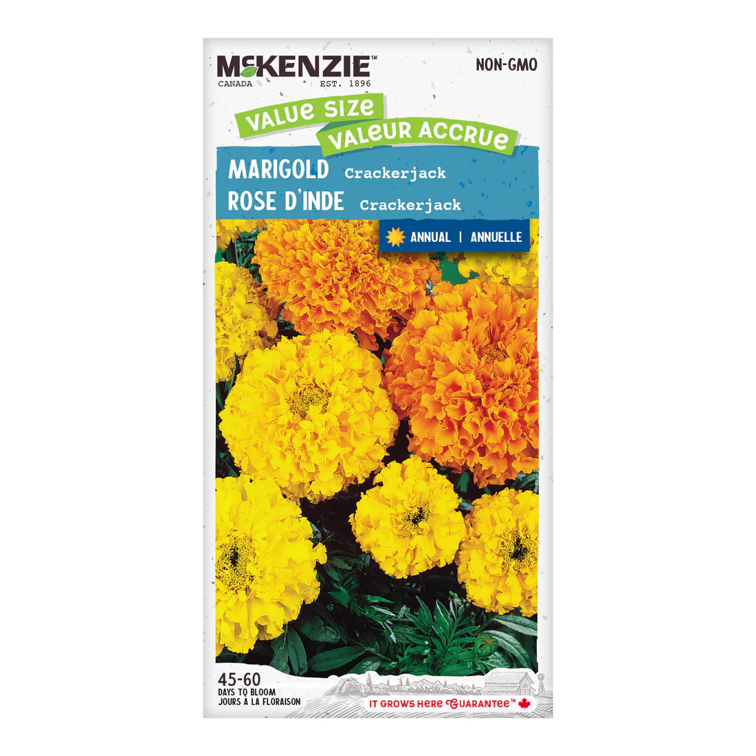 Marigold Crackerjack Jumbo Pack - McKenzie Seeds