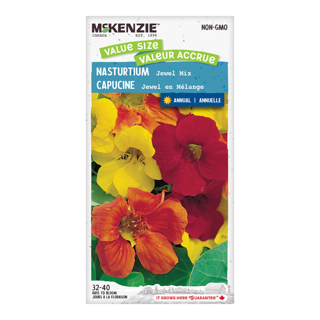 Nasturtium Jewel Mix Jumbo Pack - McKenzie Seeds