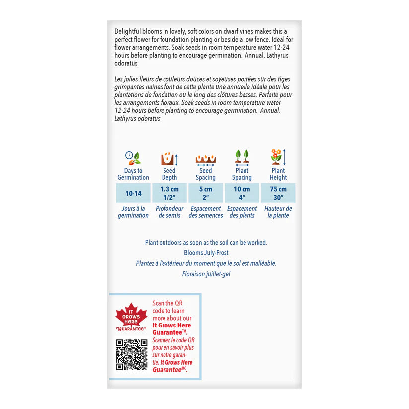 Sweet Pea Knee Hi Value Size - McKenzie Seeds