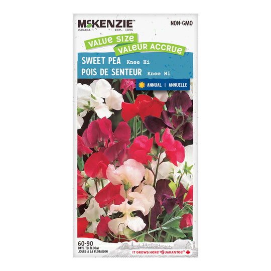 Sweet Pea Knee Hi Value Size - McKenzie Seeds