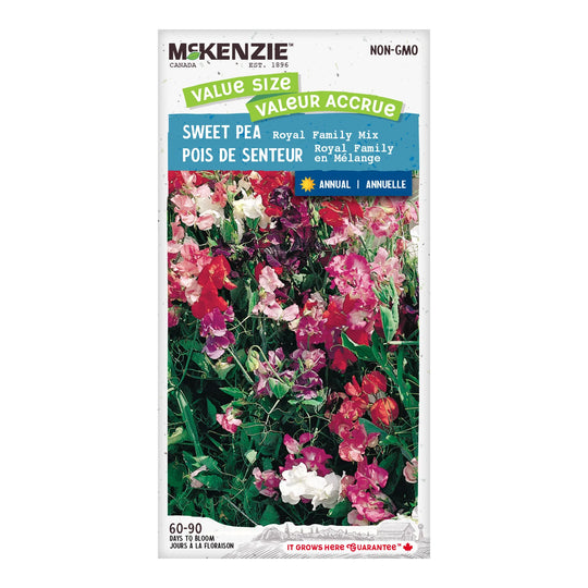 Sweet Pea Royal Family Mixed Jumbo Pack  - McKenzie Seeds