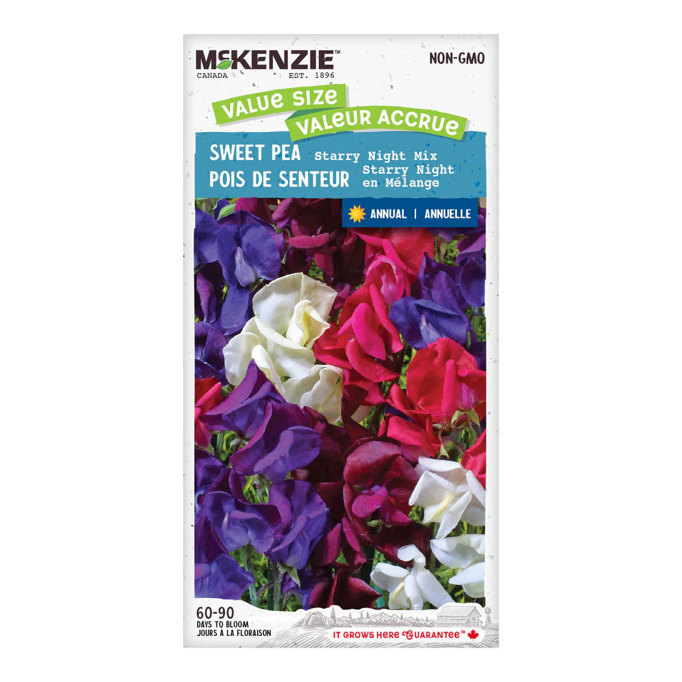 Sweet Pea Starry Night Mix Jumbo Pack - McKenzie Seeds