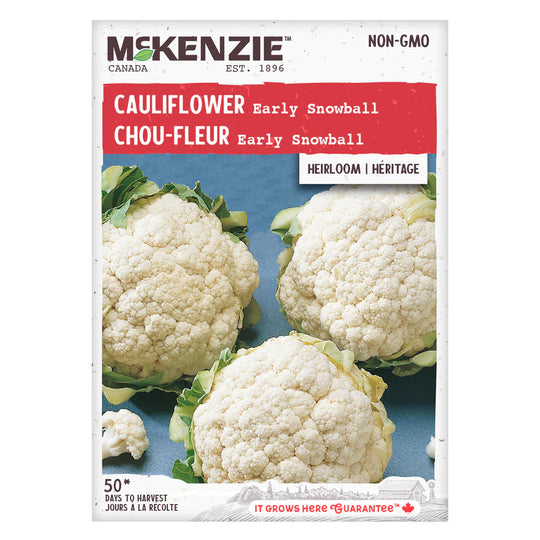 Cauliflower Early Snowball - McKenzie Seeds