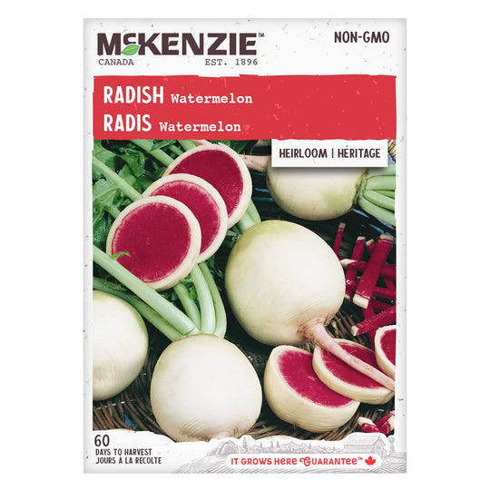 Radish Watermelon (Asian Vegetable) - McKenzie Seeds