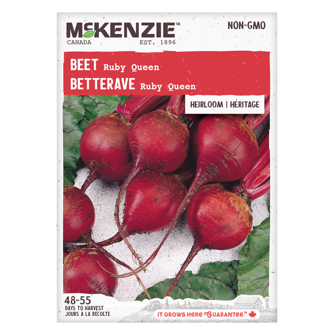 Beet Ruby Queen - McKenzie Seeds