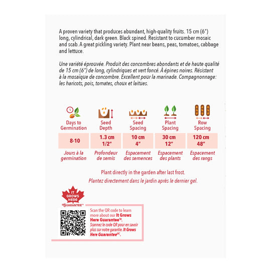 Cucumber National Pickling - McKenzie Seeds