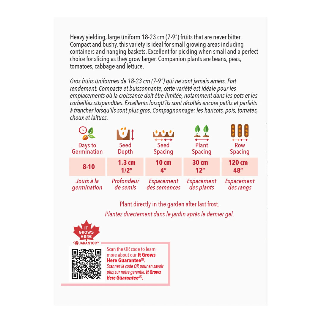 Cucumber Spacemaster - McKenzie Seeds