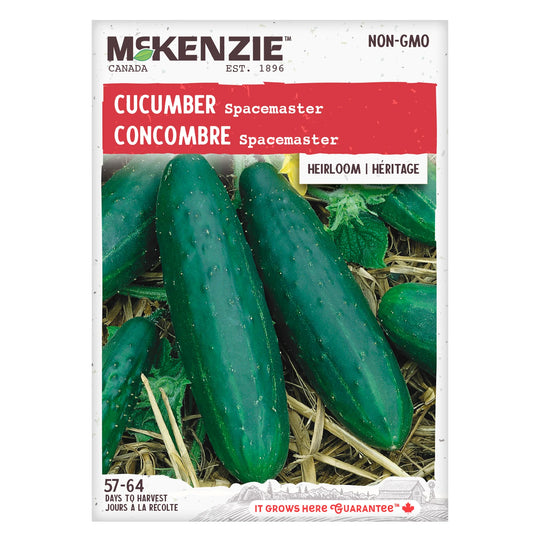 Cucumber Spacemaster - McKenzie Seeds