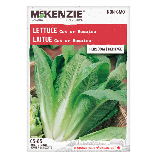 Lettuce Cos or Romaine - McKenzie Seeds