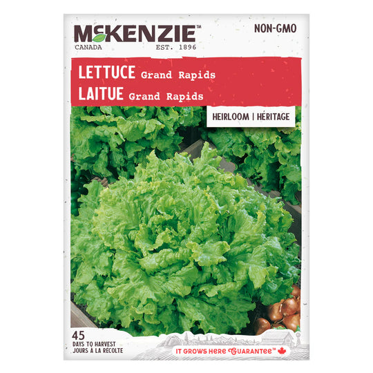 Lettuce Grand Rapids - McKenzie Seeds