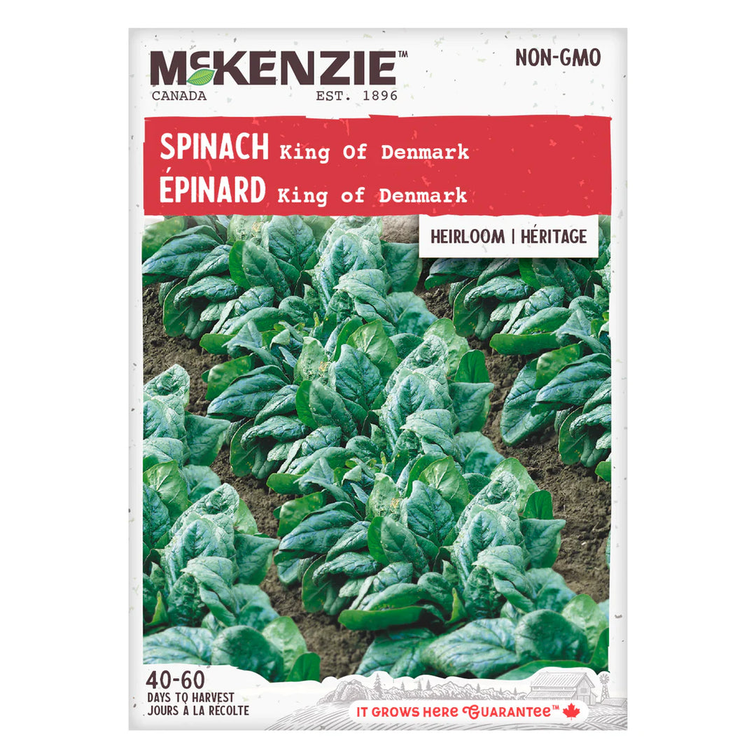 Spinach King of Denmark - McKenzie Seeds