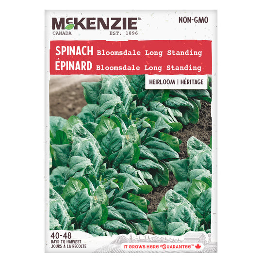 Spinach Long Standing Bloomdale - McKenzie Seeds