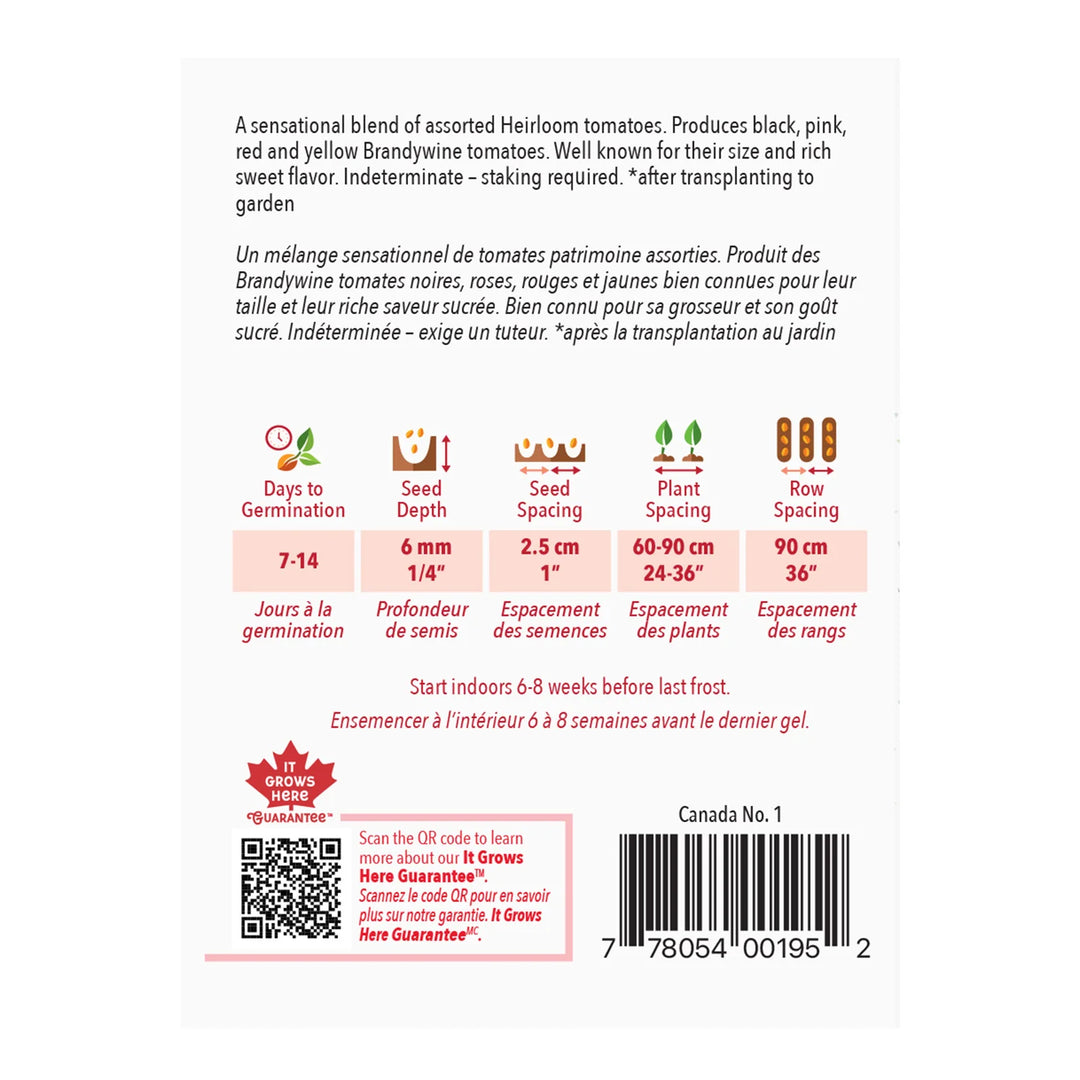 Tomato Rainbow Blend - McKenzie Seeds
