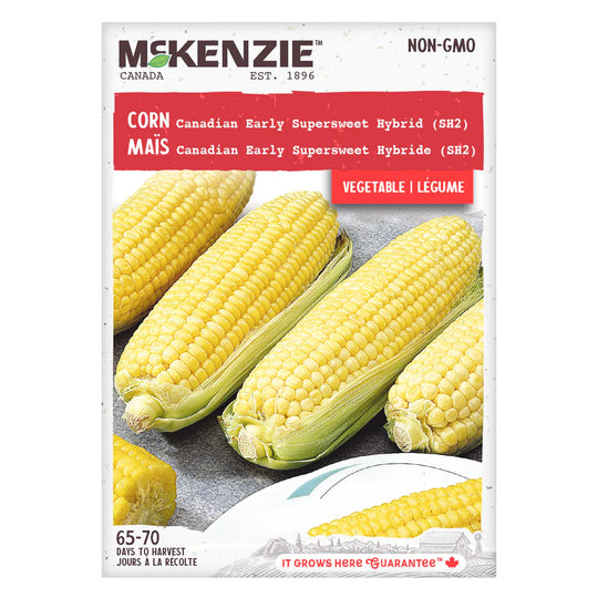 Corn Canadian Early Supersweet Hybrid SH2 - McKenzie Seeds