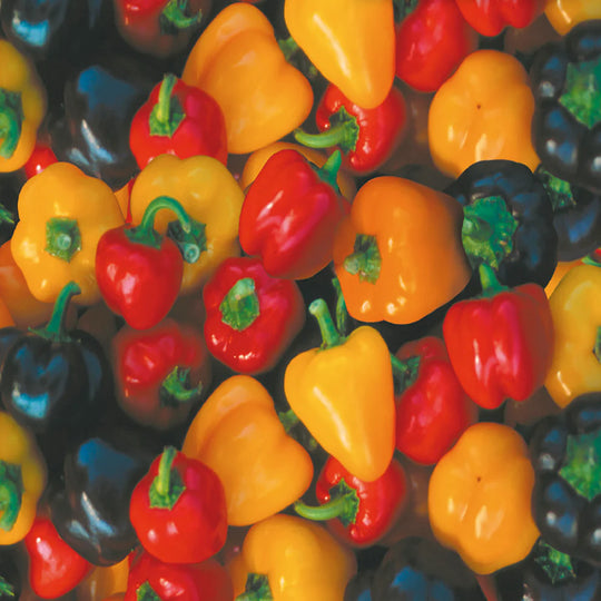 Pepper Mini Bell Mix - McKenzie Seeds