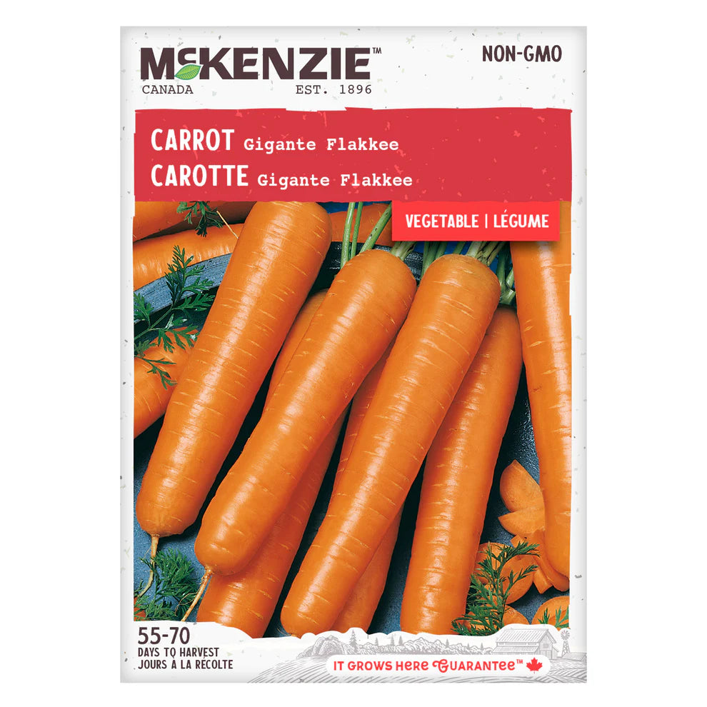 Carrot Gigante Flakkee - McKenzie Seeds