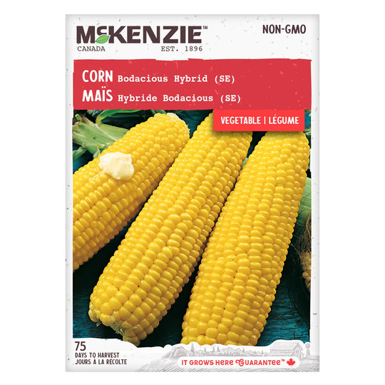 Corn Bodacious - McKenzie Seeds