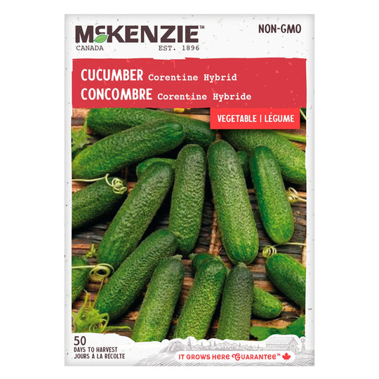 Cucumber Corentine Hybrid - McKenzie Seeds