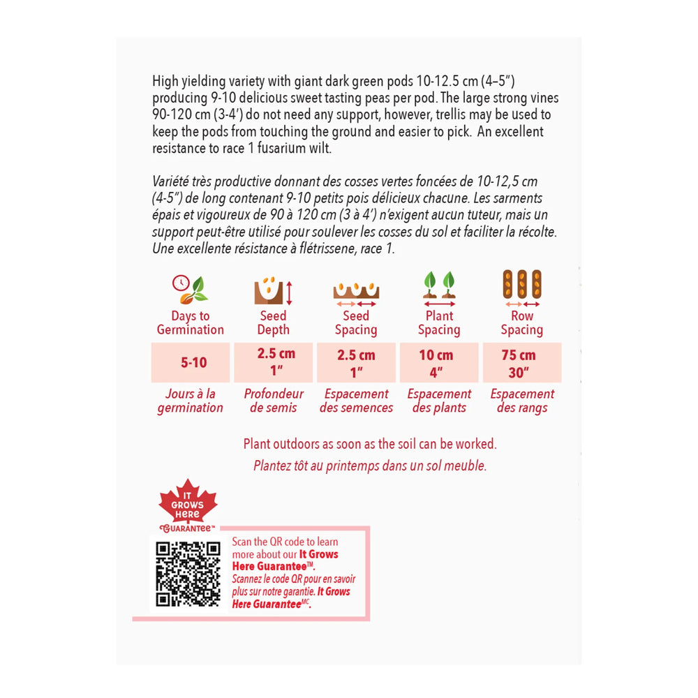 Pea Mr.Big - McKenzie Seeds