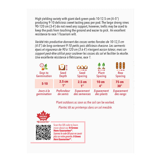 Pea Mr.Big - McKenzie Seeds