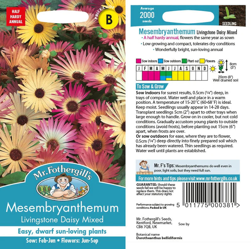 Mesembryanthemum Livingstone Daisy Mixed - Mr. Fothergill's Seeds