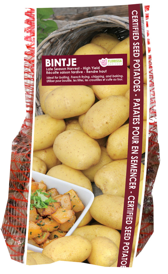 Potato - Bintje Yellow, 2kg Mesh Bag